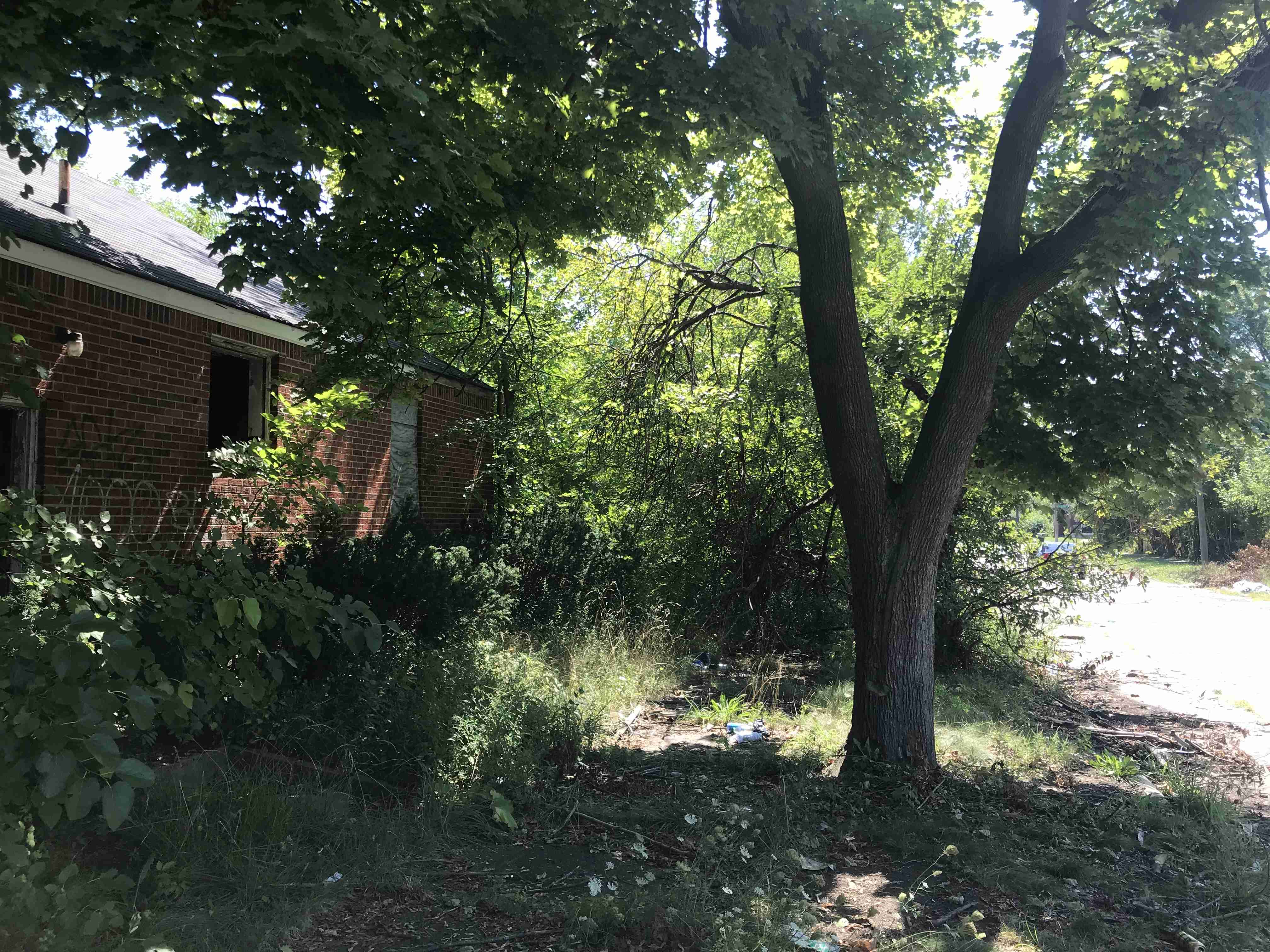 Photo Aug 21, 1 12 47 PM.jpg